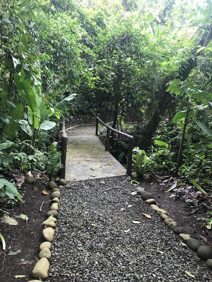 Arenal Roca Suites Ла Фортуна Экстерьер фото